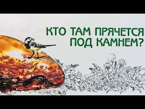 Видео: Кто там прячется под камнем? Великан на поляне