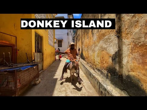 Видео: Нет машин — нет проблем, ТОЛЬКО ослы/ ОСТРОВ ЛАМУ/ Дом Субира