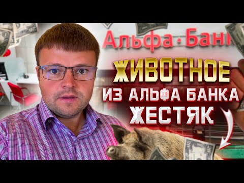 Видео: Мфц банкротство физического. Взыскатель Альфа банка без моральных ценностей ЖЕСТЯК