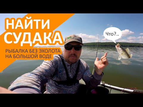 Видео: Ловля судака летом без эхолота. Рыбалка с лодки на джиг летом.