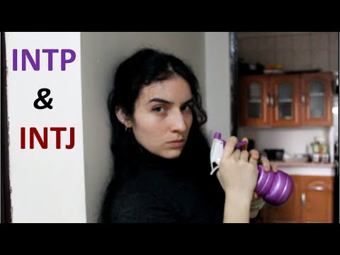 Видео: Соседи по комнате INTP и INTJ