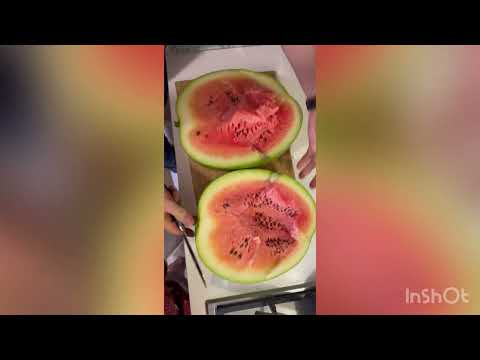 Видео: Арбузы 🍉 11 августа 2024 привитые .