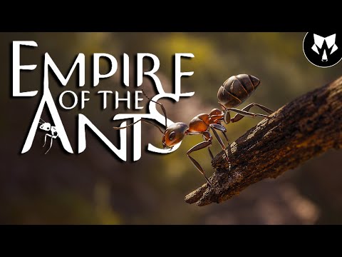 Видео: Empire of the Ants | Империя Муравьев | Прохождение на Русском #1