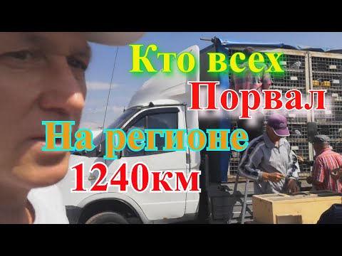 Видео: Кто ВСЕХ ПОРВАЛ НА РЕГИОНЕ. Сдаём на 1240км.