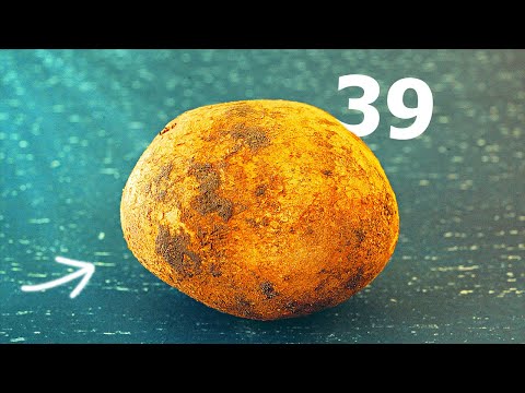 Видео: ВСЕ 39 СПОСОБОВ ПРИГОТОВИТЬ КАРТОШКУ