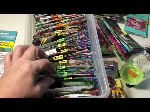 Видео: Как навести порядок в семенах? Интересный способ сортировки и хранения семян зимой