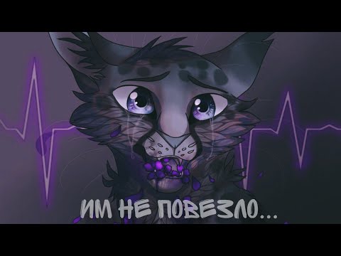 Видео: Судьба с ними была более жестокой - коты воители