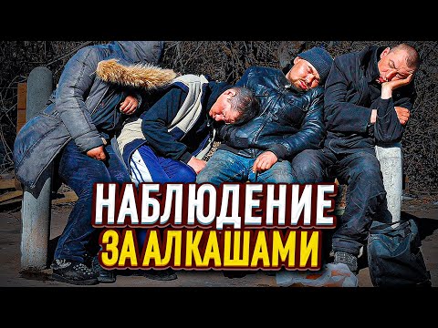 Видео: Наблюдение за алкашами