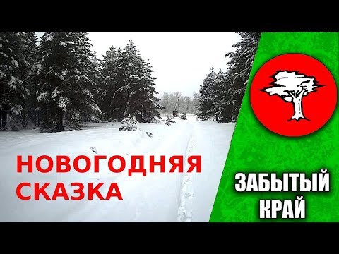 Видео: Новогодняя сказка