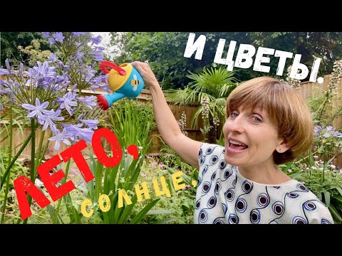 Видео: Пальчиковая гимнастика для детей. ЛЕТО. ЦВЕТОК. 🌻. Пальчиковые игры.Развитие речи для детей 2-3 лет.