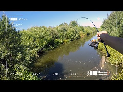 Видео: Лещ по цене красной рыбы. Теряй мормышки, чтобы поймать!