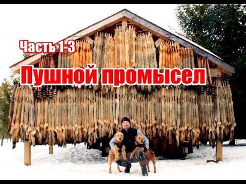 Видео: Пушной промысел | Часть 1