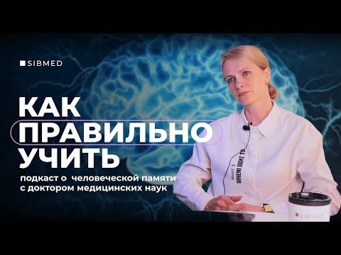 Видео: Человеческая память: как она устроена и как ее тренировать