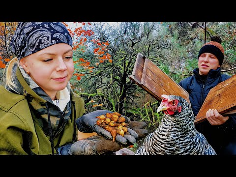 Видео: НАСТОЯЩАЯ ДЕРЕВЕНСКАЯ ЖИЗНЬ: садим огород, потеря хозяйства и загадочные места на хуторе.