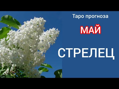 Видео: СТРЕЛЕЦ ♐ Таро прогноза за МАЙ 2025 #tarot #рийдинг #хороскоп #taro #стрелец #tarotreading