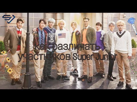 Видео: учимся различать участников Super Junior