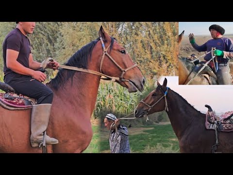 Видео: Кылыч Балбан Чапкан Корабл Сатууда 💥