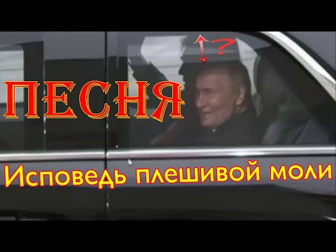 Видео: Песня Исповедь плешивой моли