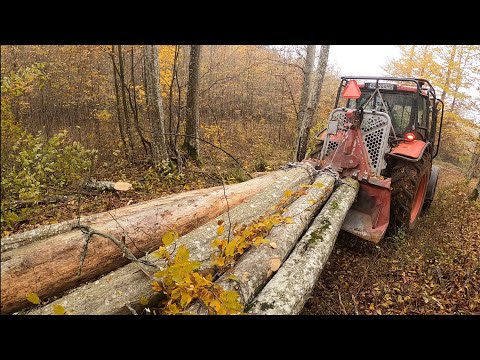 Видео: Заготовка небольшого стенда, примыкающего к суслу, Амлес, МС 361, Зетор, Лесные работы