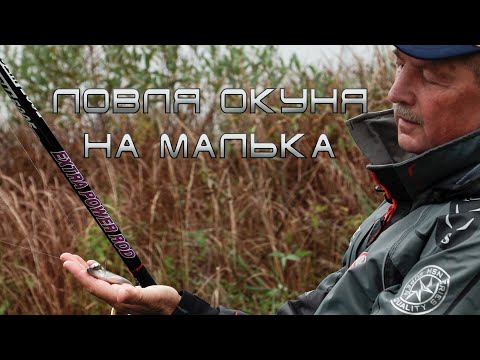 Видео: Ловля окуня на малька