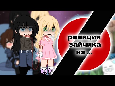 Видео: Реакция зайчика на ... #Стекло #Ротон 