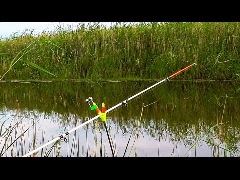 Видео: Лапти КАРАСИ на ПРОСТУЮ ДОНКУ КРОКОДИЛ!! Рекорд ПОБИТ!! Рыбалка с НОЧЁВКОЙ в ДИЧАЙШИХ МЕСТАХ!!
