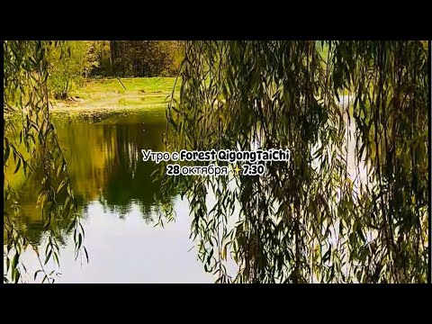 Видео: Доброе 🍂 осеннее Утро ! Занятие на Forest🌲Qigong (вторник🌿пятница)!