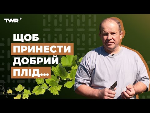 Видео: Чтобы принести хороший плод... | Александр Чмут