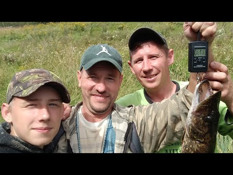 Видео: ЩУКА РВЕТ ПОВОДКИ! ЩУКА НА ЖИВЦА В СЕКРЕТНЫХ МЕСТАХ!