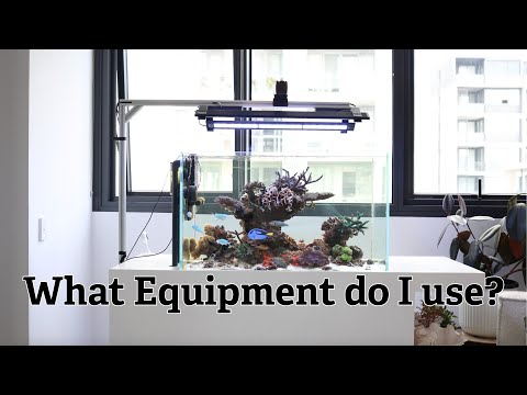 Видео: Оборудование для рифового аквариума! Что я использую?