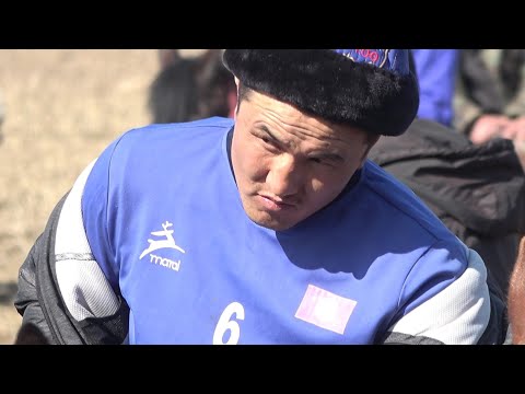 Видео: Кеминдеги Жер Улак (23-02-22)