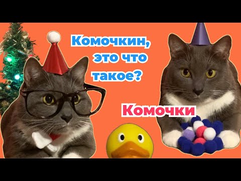 Видео: ЕСЛИ БЫ КОТЫ ХОДИЛИ В ШКОЛУ - КОТИКИ ДЕДЫ МОРОЗЫ