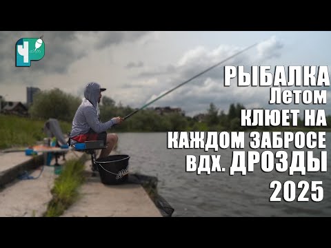 Видео: Рыбалка летом. Клюет на каждом забросе. Вдх. Дрозды 2025