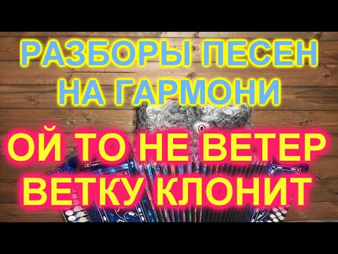 Видео: РАЗБОРЫ! Под гармонь! ОЙ ТО НЕ ВЕТЕР ВЕТКУ КЛОНИТ!