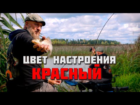 Видео: КАК ИЗБЕЖАТЬ СРЕЗА ЛЕСКИ В КЛИПСЕ? ПОЛЕЗНЫЕ СОВЕТЫ. КАРАСЬ НА ФИДЕР.