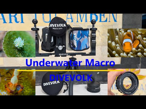 Видео: Подводная макросъёмка на ТЕЛЕФОН! Макрообъективы Divevolk (ПРОТЕСТИРОВАНО)