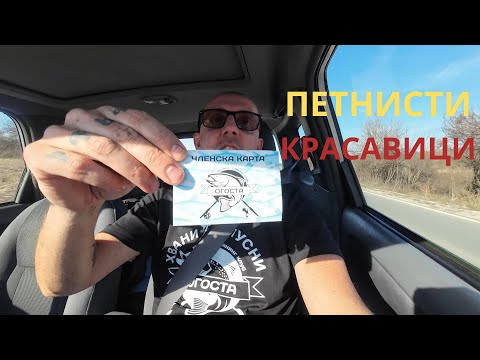 Видео: ПЕТНИСТИ КРАСАВИЦИ #fish #trout
