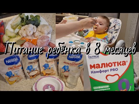 Видео: Меню ребёнка в 8 месяцев🥣 Рацион на весь день🥦🥕