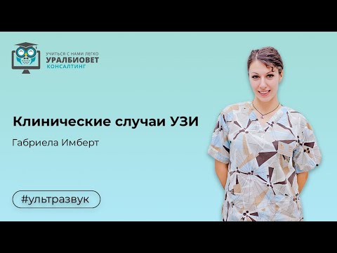 Видео: “Клинические случаи УЗИ”, лектор Габриела Имберт