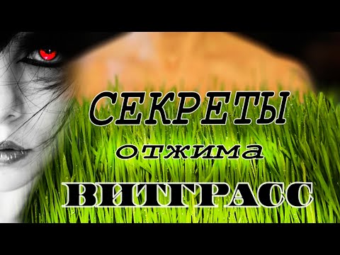 Видео: Секретный отжим витграсса. Правильно  отжал-получил больше денег.