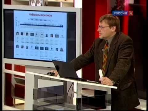 Видео: Константин Анохин - Внутри Вавилонской библиотеки мозга. 2-я лекция