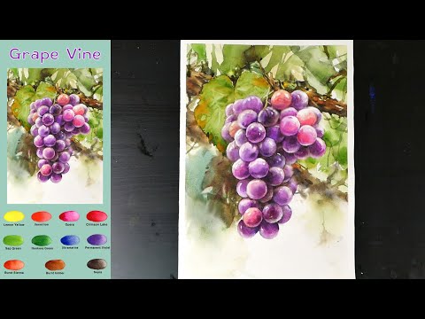 Видео: Виноградная лоза -  Фруктовая Акварель  (эскиз и  просмотр имени цвета,  материал представить)