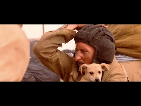 Видео: Afghan Edit - The Perfect Girl - 9th Company 9 Рота