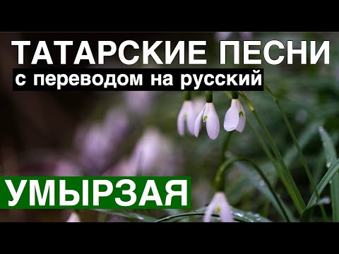 Видео: Татарские песни с переводом на Русский I Умырзая - Подснежник