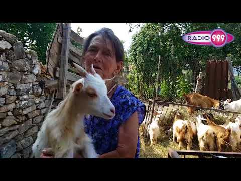 Видео: БАБА ДОРА ОТ ШАРКОВО, ВЪВ ВИДЕО НА РАДИО 999, ДОСТИГНАЛО ДО МИЛИОНИ