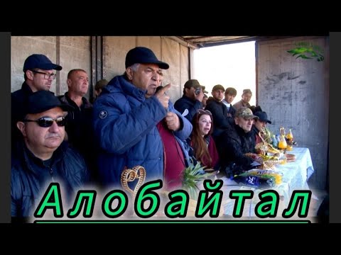 Видео: Бузкашии д Алобайтал 08 11 2025 кисми 1. UMED VIDEO TAJIKISTAN ZARAFSHON 