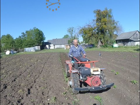 Видео: Второе окучивание картошки 2025.
