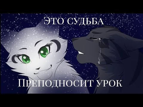 Видео: Коты-воители {клип} •Это судьба преподносит урок•