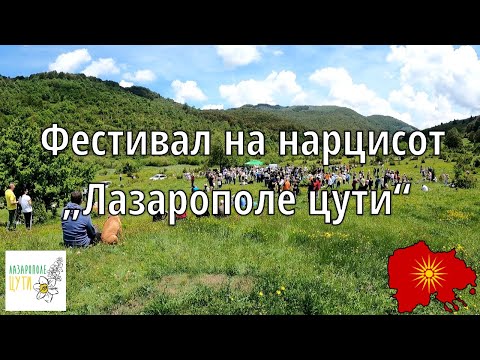 Видео: Фестивал на нарцисот „Лазарополе цути“ - Daffodil Festival “Lazaropole Blooms” (2024)