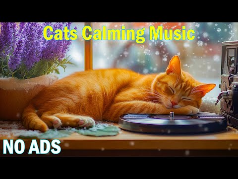 Видео: 12 часов музыки, которая поможет кошкам крепко заснуть😽Успокаивающие мелодии, чтобы кошки уснули💤М
